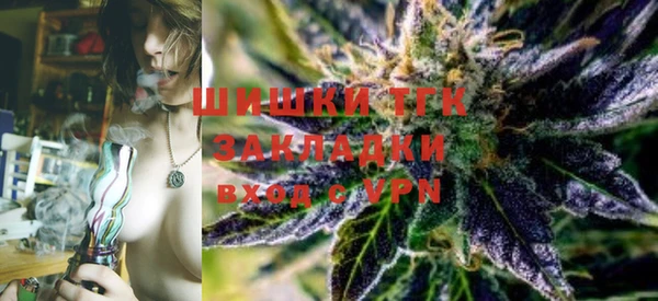 ешки Мегион