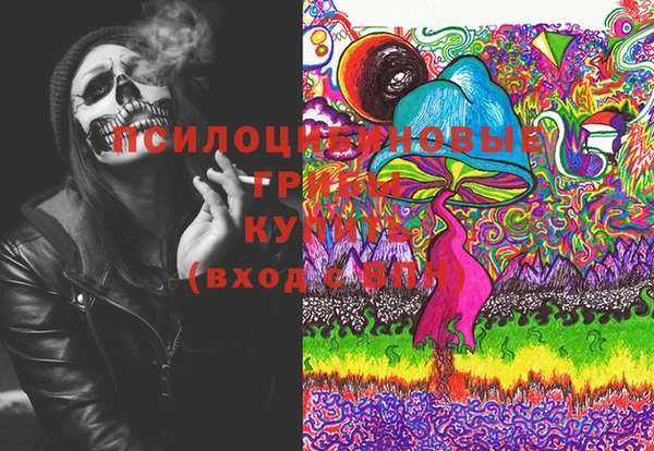 ешки Мегион