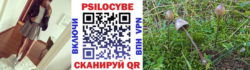 Галлюциногенные грибы Psilocybine cubensis Холм