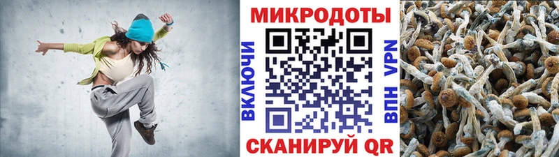 Псилоцибиновые грибы Cubensis  хочу наркоту  Холм 