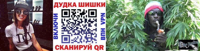 Каннабис планчик  OMG онион  Холм 